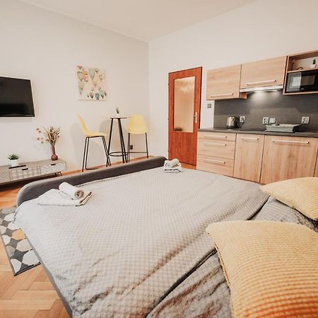 شقة Elegant Studio, 400M From The Square بلزن المظهر الخارجي الصورة