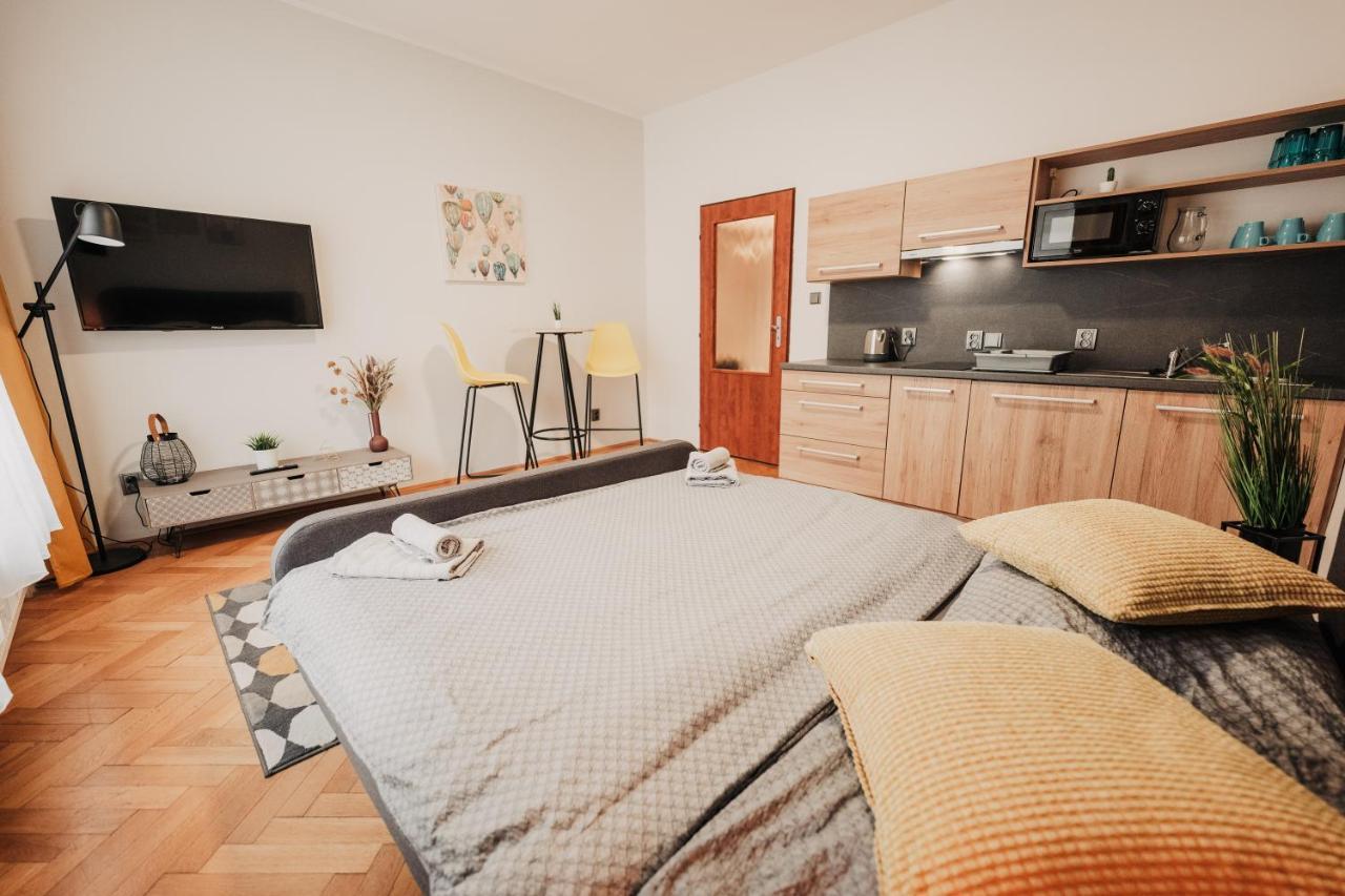 شقة Elegant Studio, 400M From The Square بلزن المظهر الخارجي الصورة