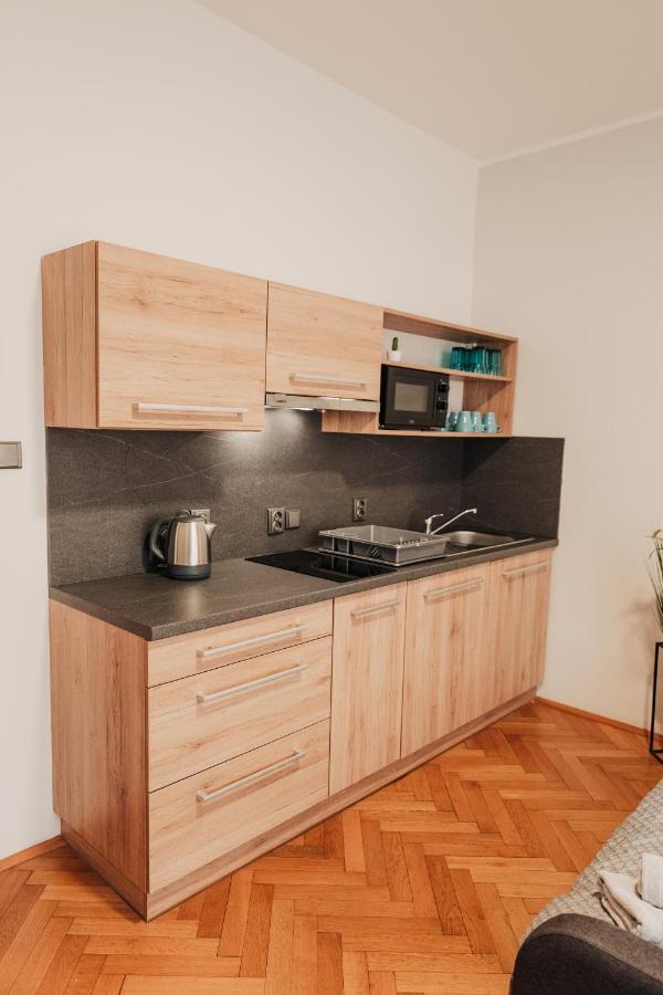 شقة Elegant Studio, 400M From The Square بلزن المظهر الخارجي الصورة